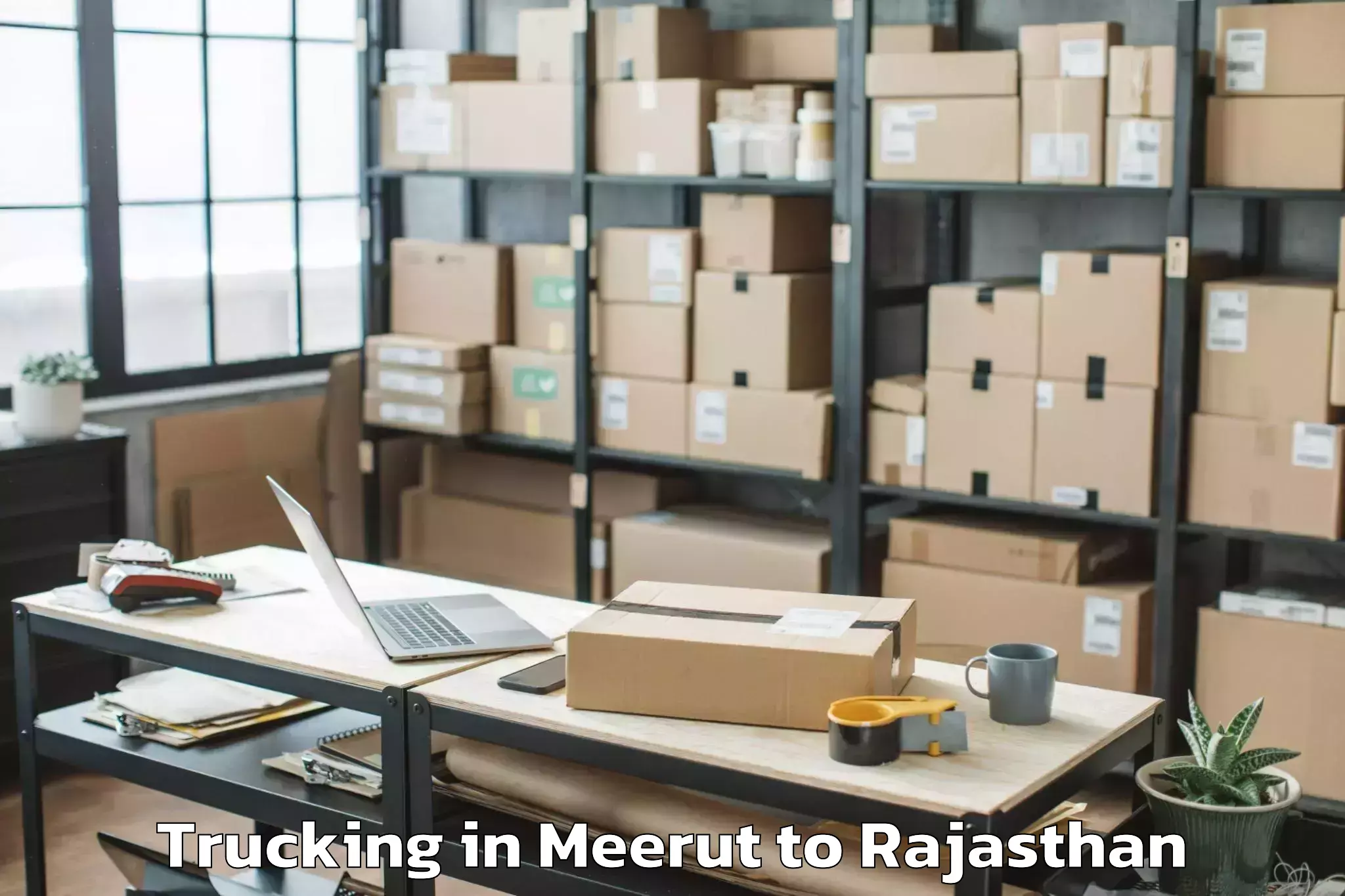 Leading Meerut to Hindaun Trucking Provider